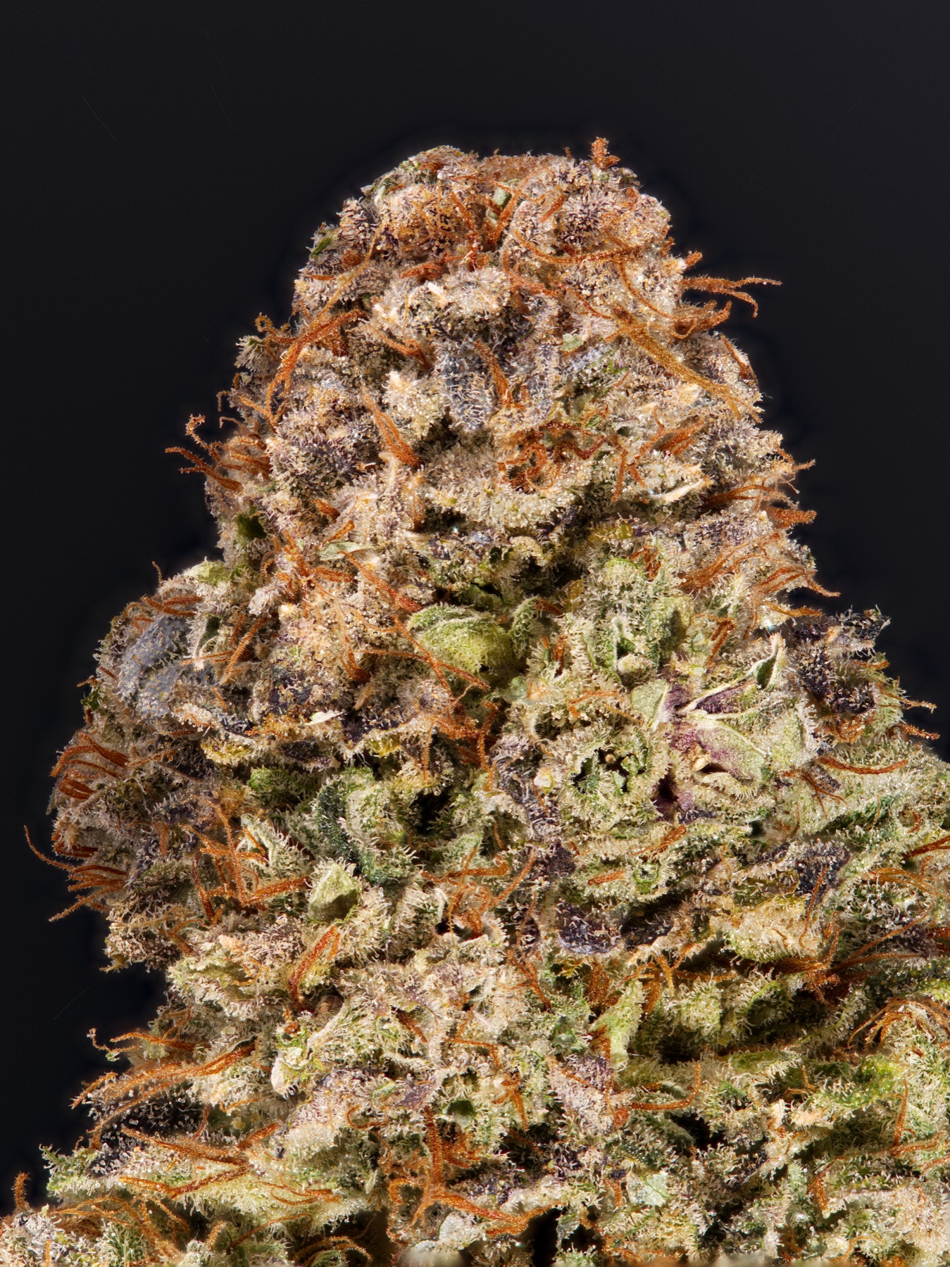 San Fernando Valley OG (SFV OG) Foto 4